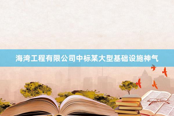 海湾工程有限公司中标某大型基础设施神气