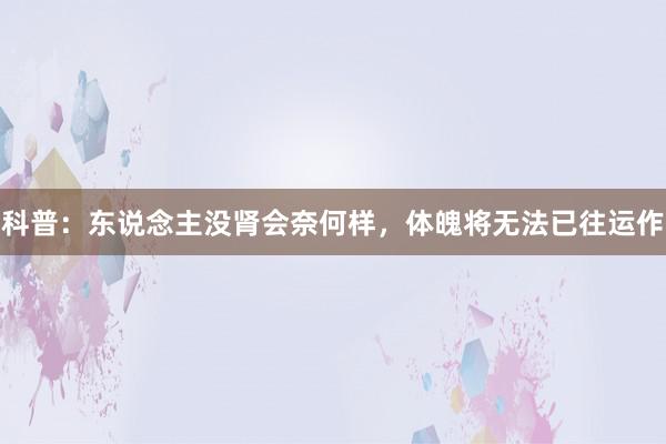 科普：东说念主没肾会奈何样，体魄将无法已往运作